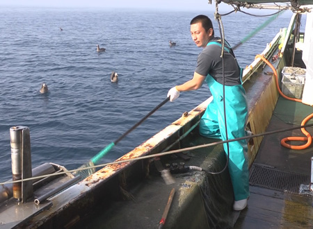 福島　六ヶ所　未来への伝言