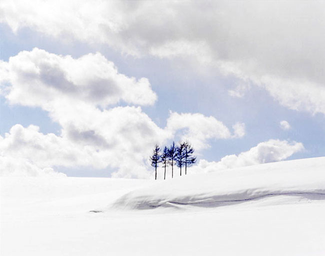 雪原