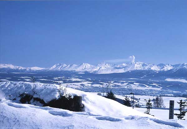 雪原