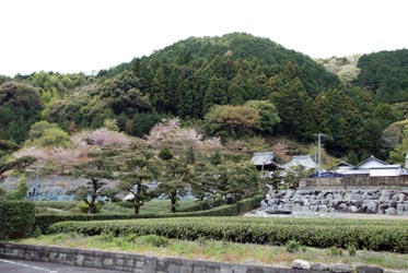 耕雲寺