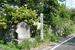 日野江城跡への入口