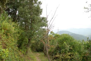 大坂峠から見た景色