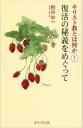 『キリスト教とは何か1 ～復活の秘義をめぐって～』表紙