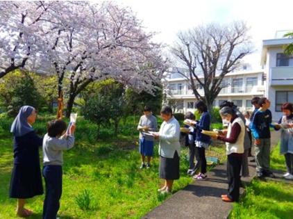 天使の聖母宣教修道女会