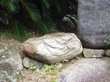 庭に置かれた迫害の石
